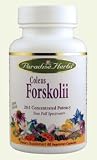 Paradise Herbs Coleus Forskolli Extract, 60 count