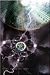 Time is on My Side Fine Art Print / Poster 24.00 x 36.00 in.