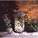 Garden Wheelie Bin Covers - Flowering Planter Design 011