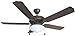 BALA BALA 5-BLADE DUAL-MOUNT OUTDOOR CEILING FAN WITH TEARDROP FIXTURE, OIL-RUBBED BRONZE, 52 IN. (1/EA)