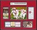 MLB St. Louis Cardinals 2011 World Series Ticket Frame