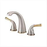 Danze 2 Handle TRIM Tub Filler,Brushed Nickel/Polished Brass