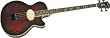 Washburn Signature Series AB40SHBCBK Acoustic-Electric Bass