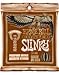 ERNIE BALL 3148/Titanium-Coated Slinky Phosphor Bronz/LIGHT AR[XeBbNM^[