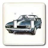 Boehm Digital Paint Automobile - Classic Muscle Car - Light Switch Covers - double toggle switch