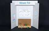 American Educational T-120DB 10 Piece Science Fair Display Board Set, 36
