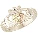 Jewelry : Beautiful! Sterling-silver Yellow-gold Black Hills Gold Women's Claddagh Ring