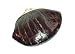 Genuine Eelskin Double Change Purse Womens Wallet Brown