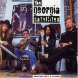 Georgia Satellites - Shaken Not Stirred