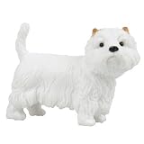 RSPCA West Highland WhiteIMAGE