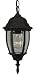 Craftmade Z261-05 Cast Aluminum Outdoor Pendant