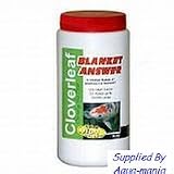Cloverleaf Blanket Answer 800grm