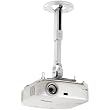 13" to 17" Paramount Universal LCD Ceiling/Wall Mount with Adjustable Extension