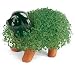 Outdoor Living : Chia Pet Handmade Decorative Planter, Puppy, 1 Kit
