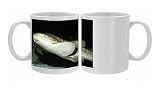Photo Mugs of KEL-896 Zebra / Leopard Shark from Ardea Wildlife Pets