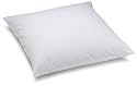 Irisette OBB 19738.01 Kopfkissen Kollektion 80 x 80 cm - St&uuml;tzkomfort weich