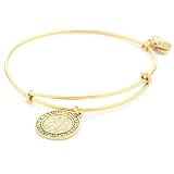Alex And Ani Bangle Bar St.Christopher Bangle