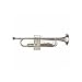 Musical Instruments : Austin Bazaar B Flat Nickel Plated Trumpet with Case