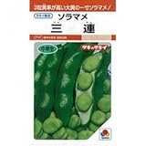 そら豆 種 三連 小袋（約1dl）