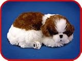 Perfect Petzzz Shih Tzu