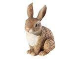 from Tom Chambers PIPPA Rabbit Sitting Up