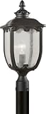 Forte Lighting 1821-01-04 Traditional 1-Light Exterior Post Mount Lantern with Clear Seeded Glass, B