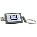 Centon DataStick Keychain MLB Detroit Tigers Edition - USB flash drive - 4 GB - Hi-Speed USB - silver