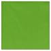 Kiwi Luncheon Napkin 50 Count Kiwi Luncheon Napkin 50 Count