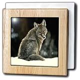 Coyote - 6 Inch Tile Napkin Holder