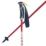 Swix Viper Red Ski Poles