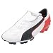 Sporting Goods : Puma v-Kat II GCi FG
