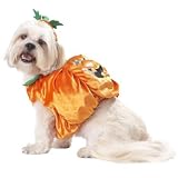 PETCO Large Jack O'Lantern Halloween Costume