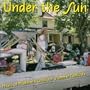 Under the Sun - Music of Madison's Outdoor Summer Festivals