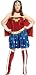 DC  Comics Wonder Woman Plus Size Adult Costume