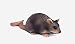 Schleich Rat