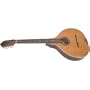 Lark's Celtic Cittern