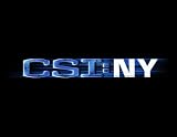 CSI NY: The Sixth Season