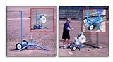 Jugs Softball Machine with Transport Cart