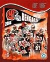 2008 Cincinnati Bengals Team Composite Officially Licensed Photo - Choose Your Size and Framing Options