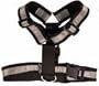 Mendota Heavy Duty Tracking Harness - Black with Reflective