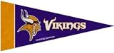 Minnesota Vikings NFL Mini Pennants - 8 Piece Set