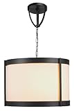 World Imports Lighting 1434-29 Edmonton 9-Light Chandelier with Shade, Euro Bronze