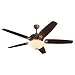 31%2BttVTTM5L. SL75  Westinghouse Lighting 77301 Ceiling Fan Light Kit