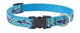 Lupine Medium Dog Collar - Dolphin Bay (9-13 inches)