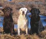 Labrador Retrievers, for the Love of 2008 Deluxe Wall