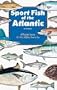 Florida Sportsman's Sport Fish Book