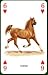 Horses & Ponies Playing Cards
