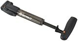 SKS In-Fusion Telescopic Mini Pump