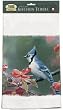 Blue Jay Towel