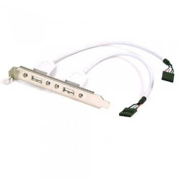 Childrens Toyshop  Electronics : Belkin USB 2 Port Motherboard Cable